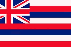 Hawaii State Flag