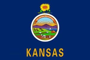 Kansas State Flag