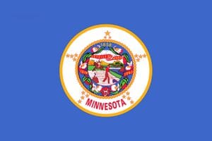 Minnesota State Flag